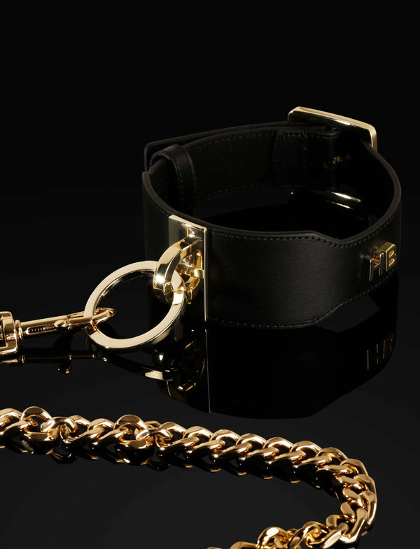 LacyMate™ Leather Collar Honey Birdette