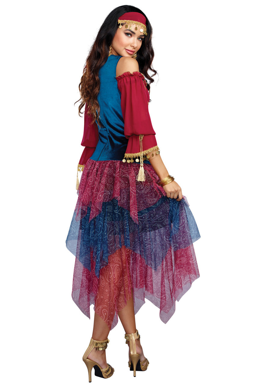 Fortune Teller Costume Dreamgirl