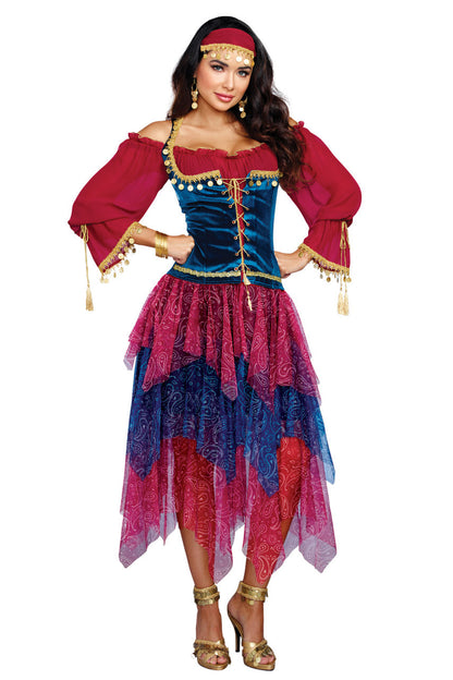 Fortune Teller Costume Dreamgirl