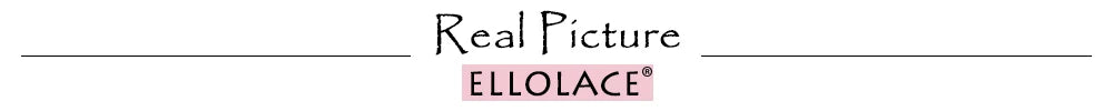 Ellolace Lingerie Set Women's Underwear Set Push up Hollow Out Bra Set Transparent Bralette Erotic Lingerie Female Underwear Set LACYMATE®