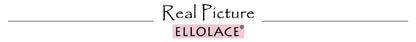 Ellolace Lingerie Set Women's Underwear Set Push up Hollow Out Bra Set Transparent Bralette Erotic Lingerie Female Underwear Set LACYMATE®