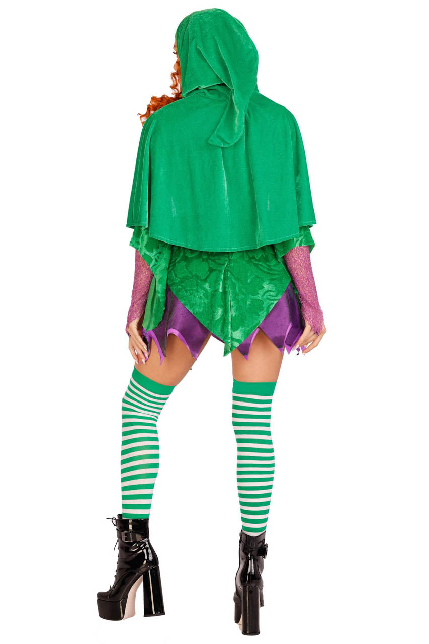 Crafty Spellcaster Hocus Pocus Costume Leg Avenue