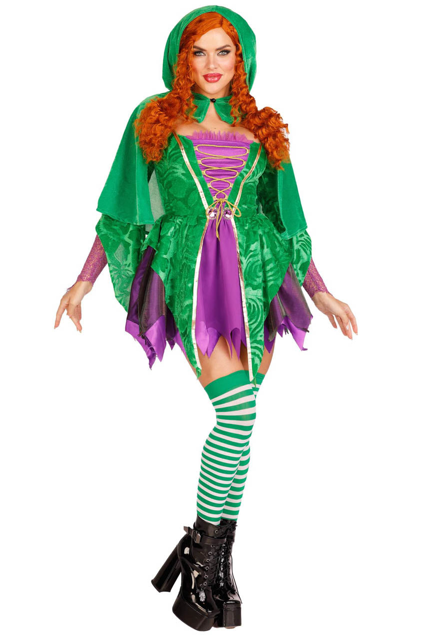 Crafty Spellcaster Hocus Pocus Costume Leg Avenue