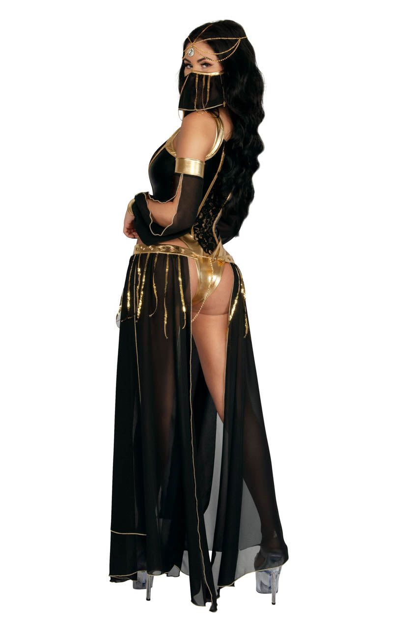 Dark Harem Nights Costume Starline
