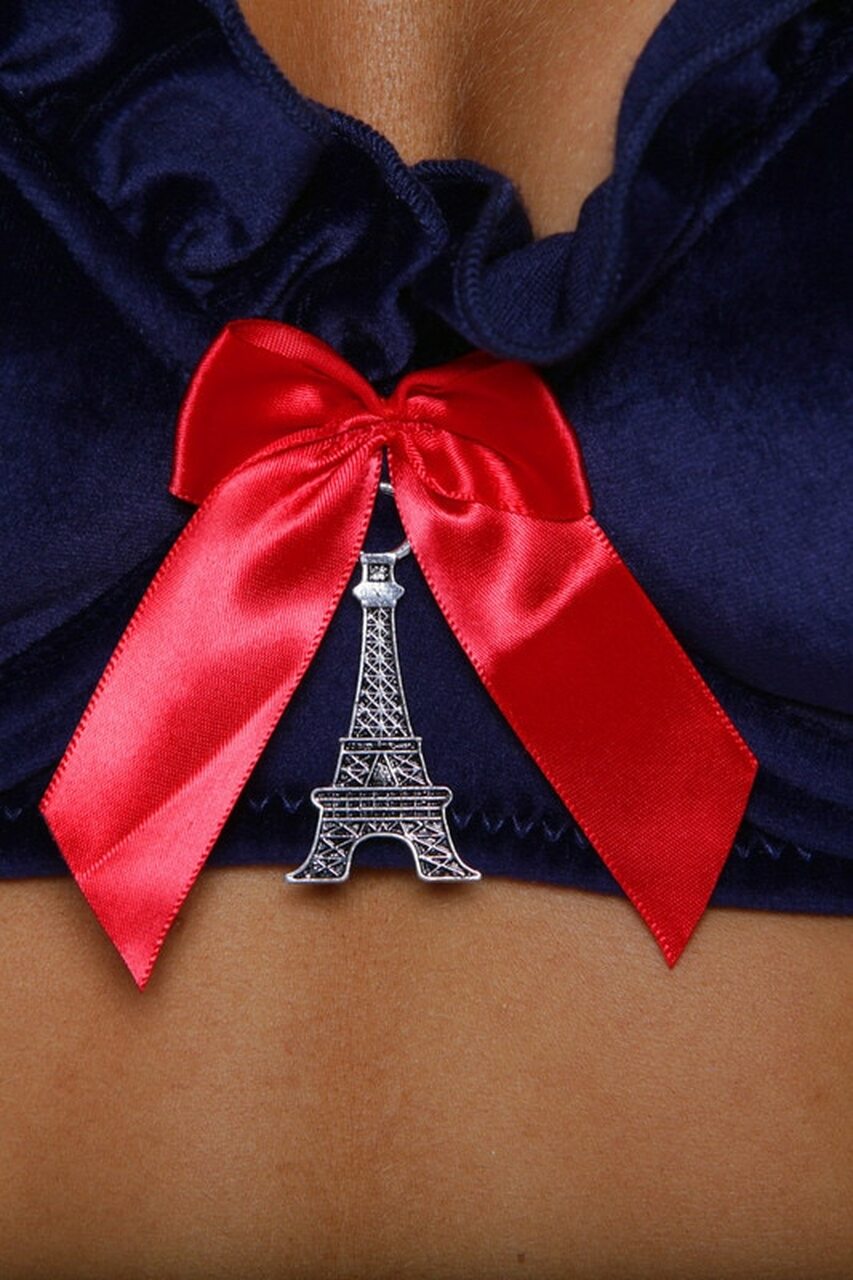 Parisian Schoolgirl Halloween Costume 3WISHES