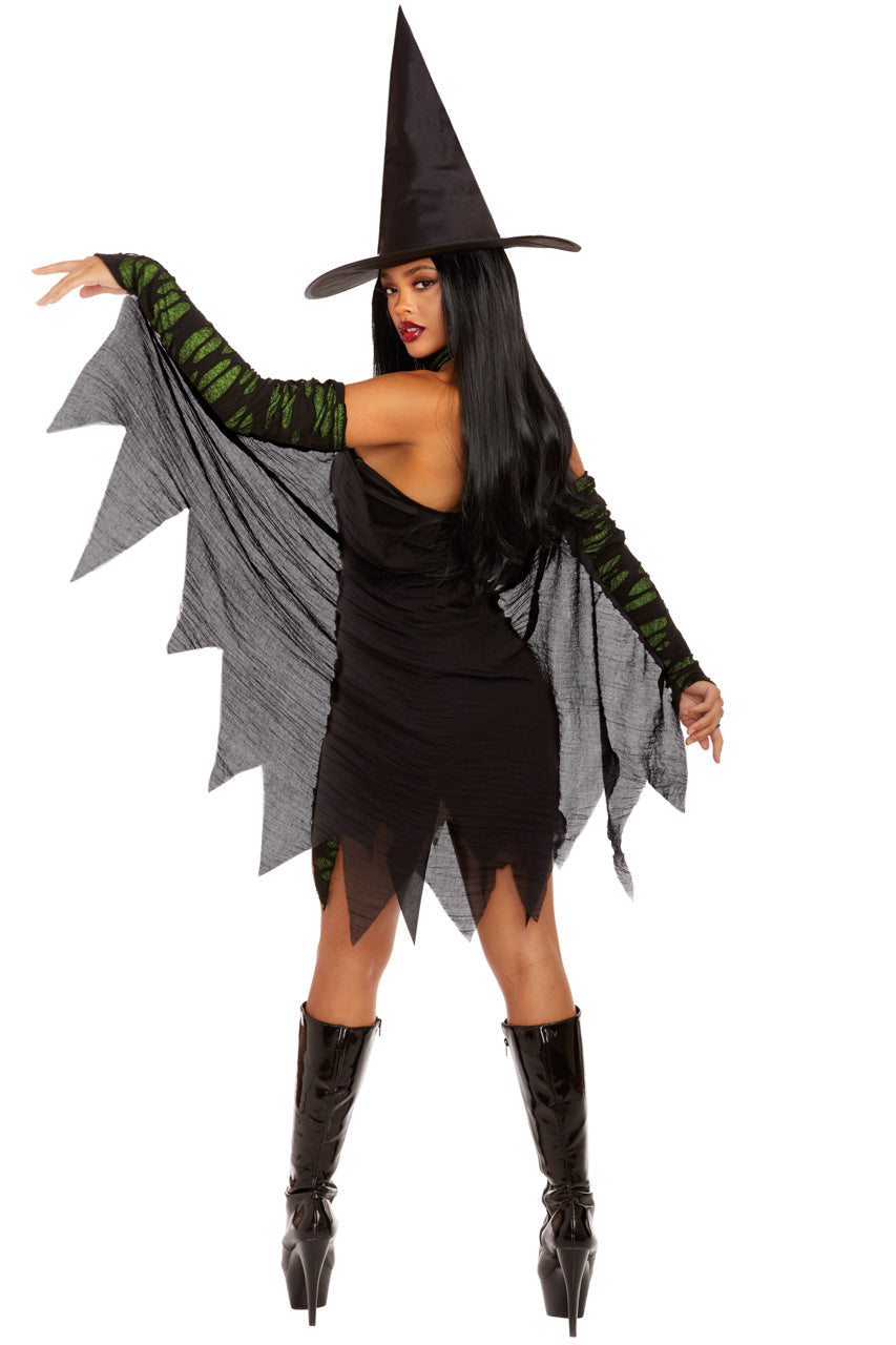 Miss Enchantment Witch Costume Dreamgirl
