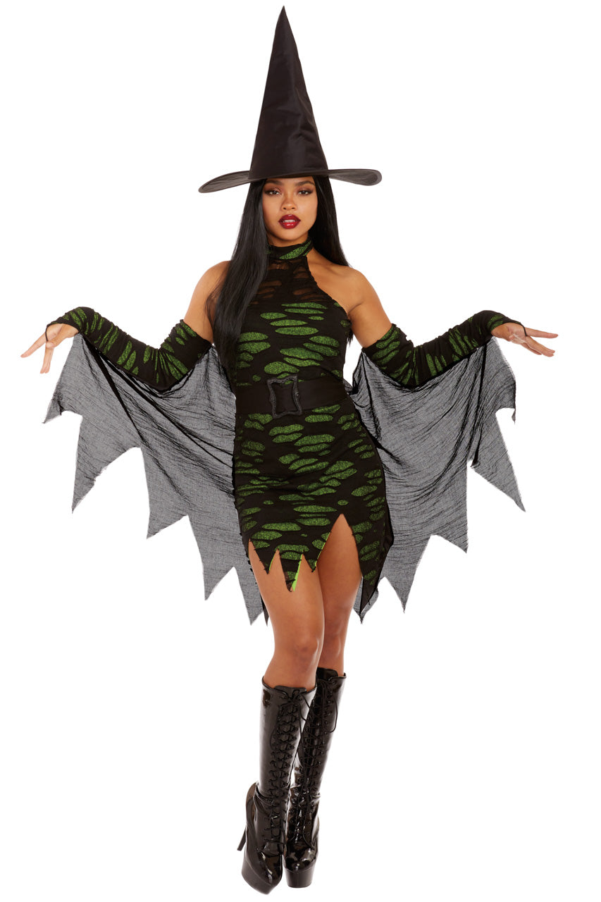Miss Enchantment Witch Costume Dreamgirl