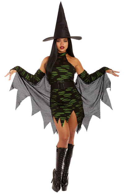 Miss Enchantment Witch Costume Dreamgirl
