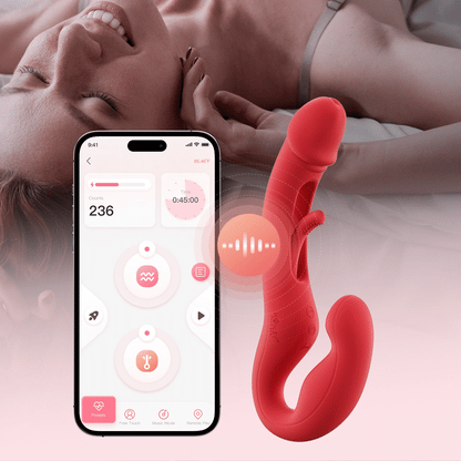 HARMONY DUO Honey Play Box Official