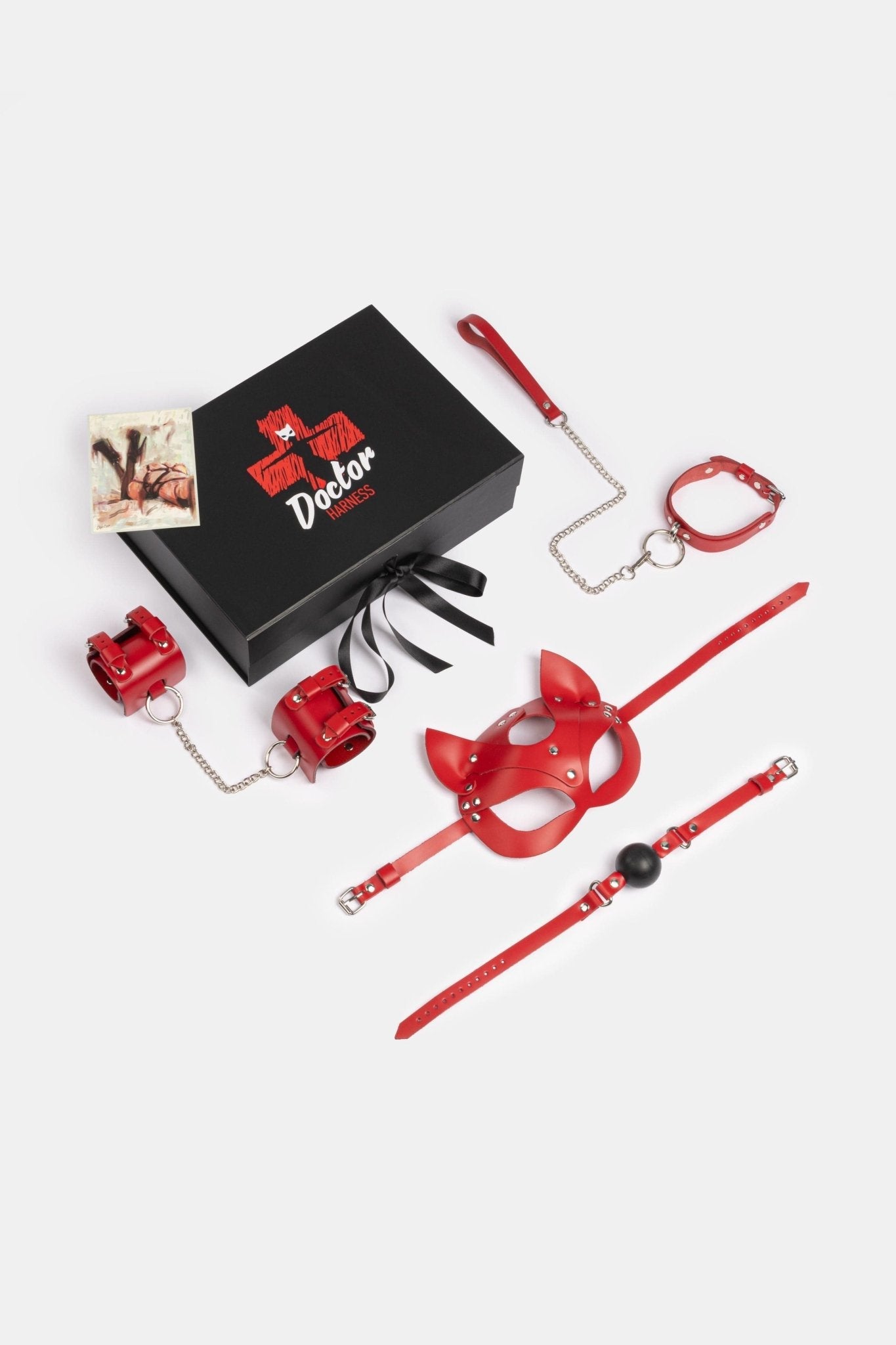 Spicy Box Set 2 - Dr.Harness - harness