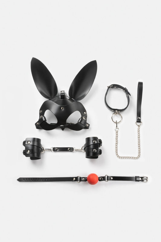 Spicy Box Set 3 - Dr.Harness - harness