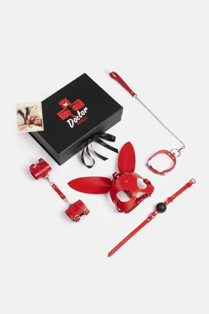 Spicy Box Set 3 - Dr.Harness - harness