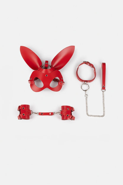 Spicy Box Set 4 - Dr.Harness - harness