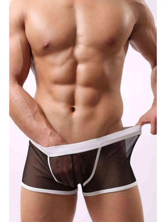 🔥 Funny Men 2025 🔥 Erotic Transparent Mesh Boxer Shorts