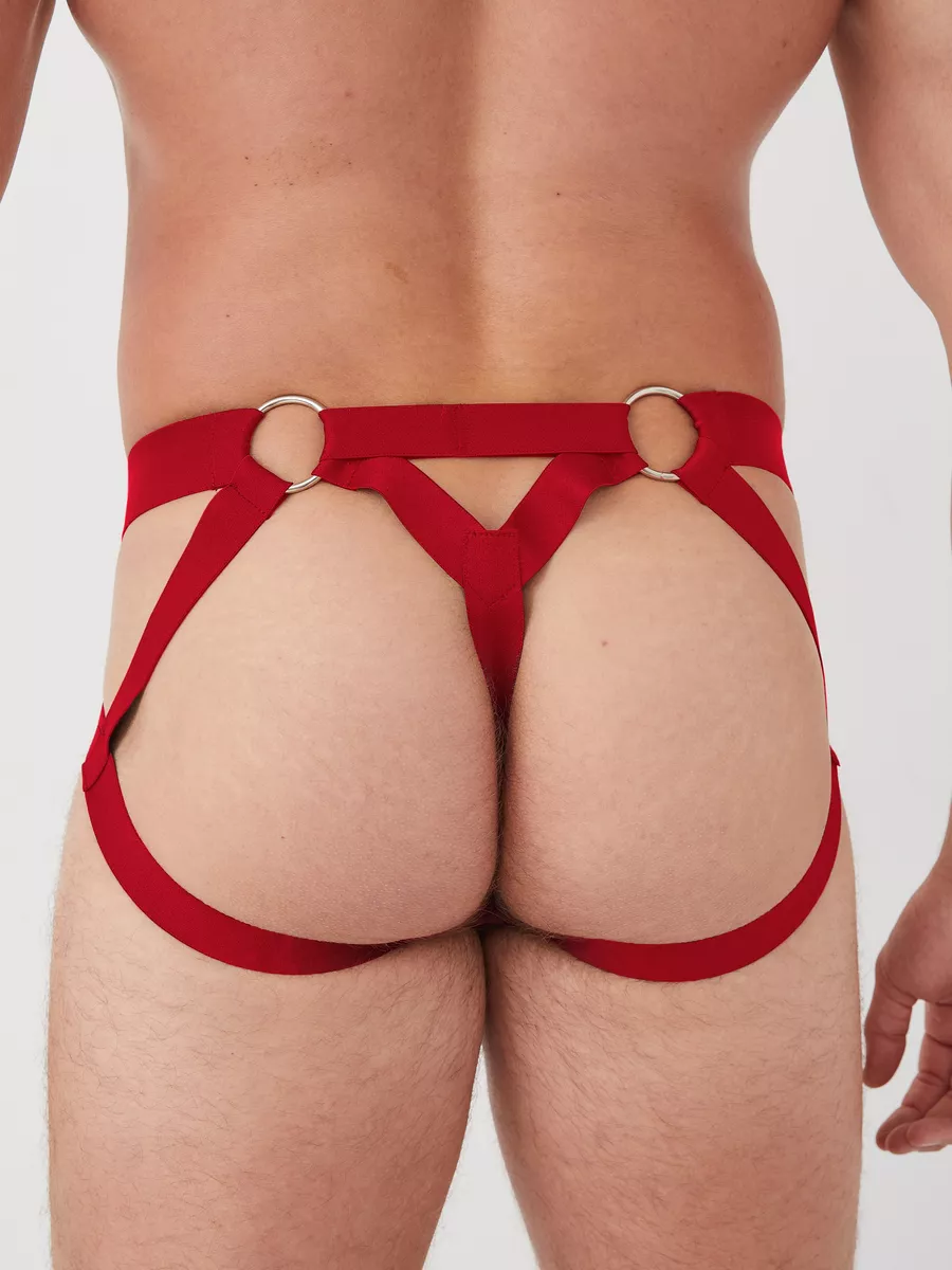 🔥 Funny Men 2025 🔥 Crimson Ring Harness