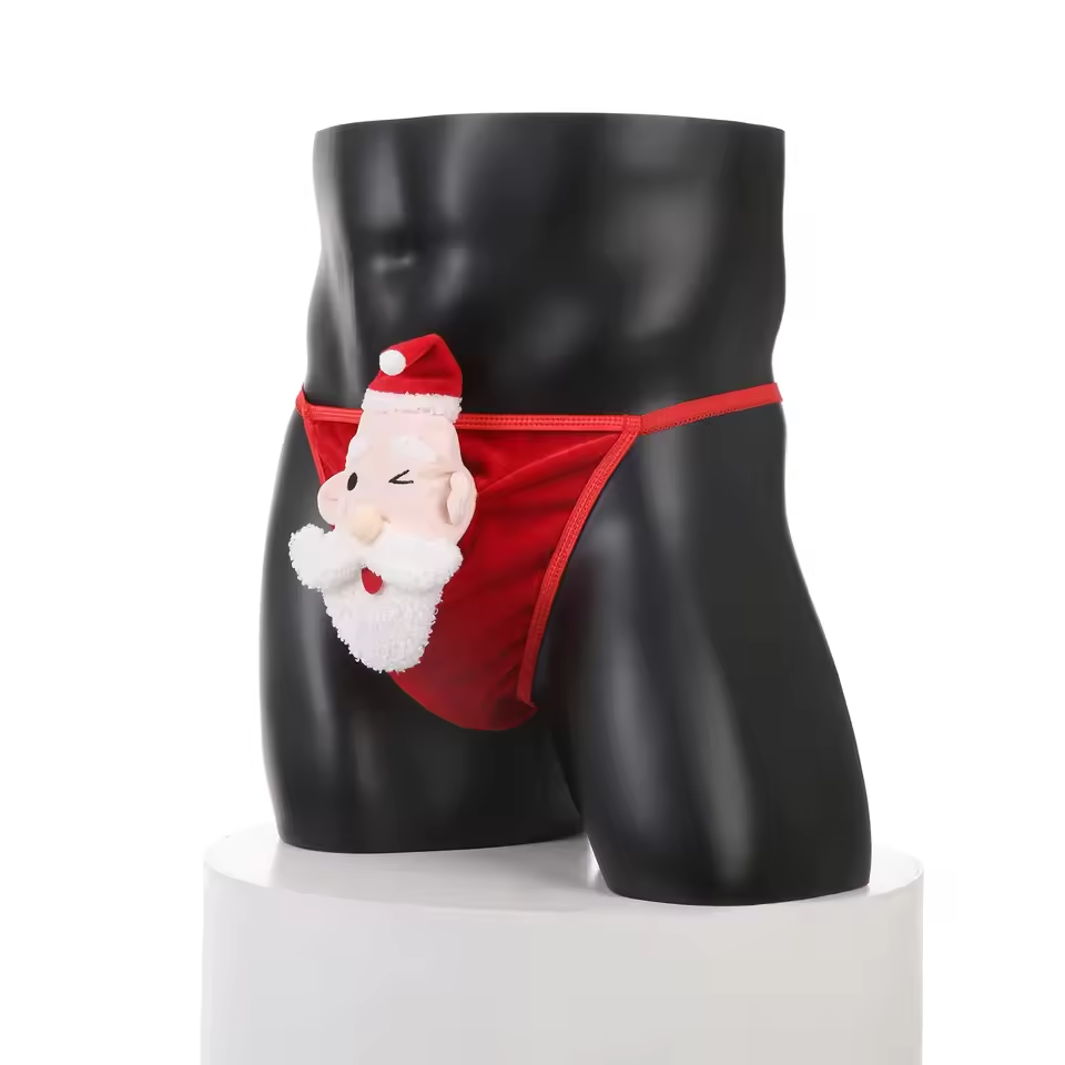 🔥 Funny Men 2025 🔥 Santa’s Little Tease Thong