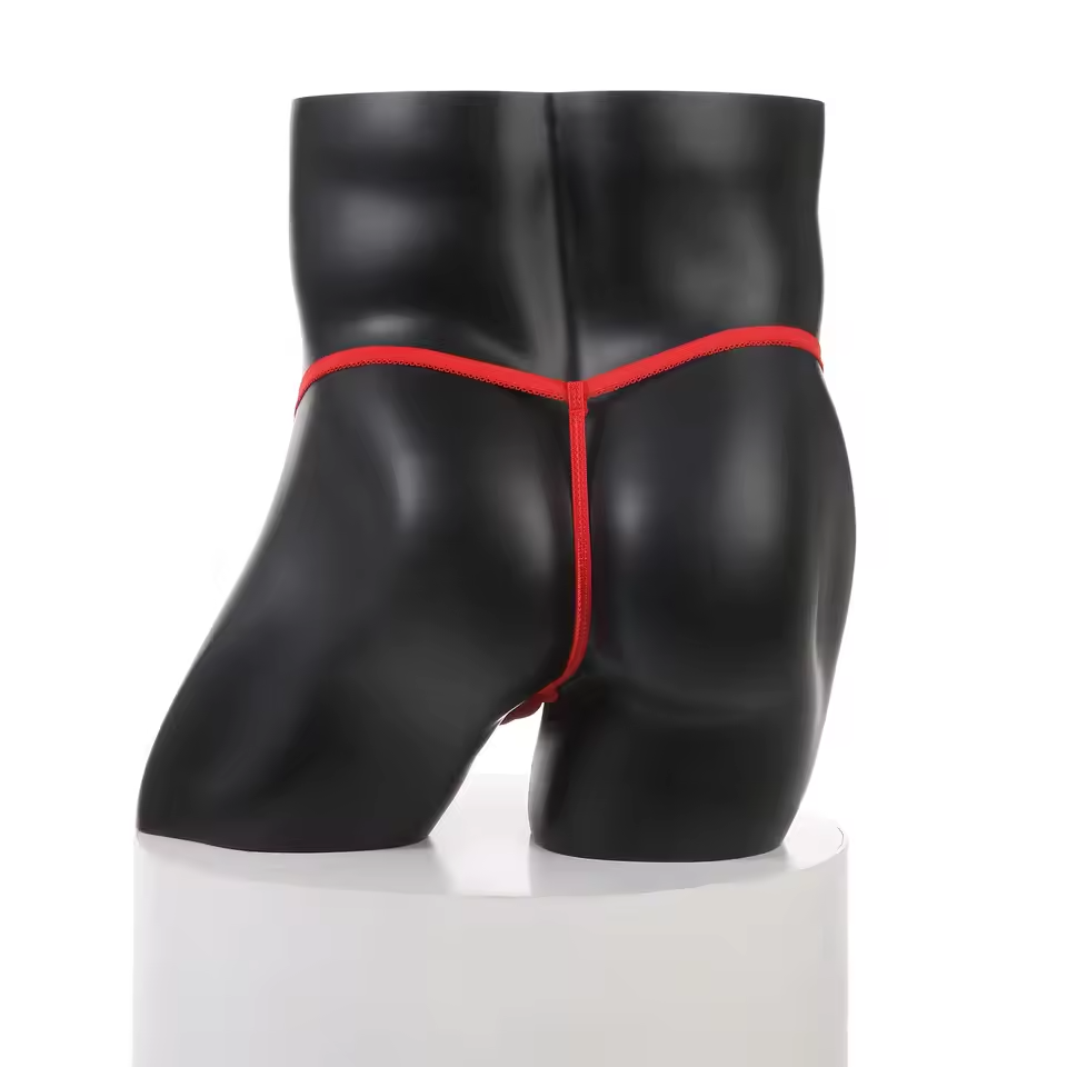 🔥 Funny Men 2025 🔥 Santa’s Little Tease Thong