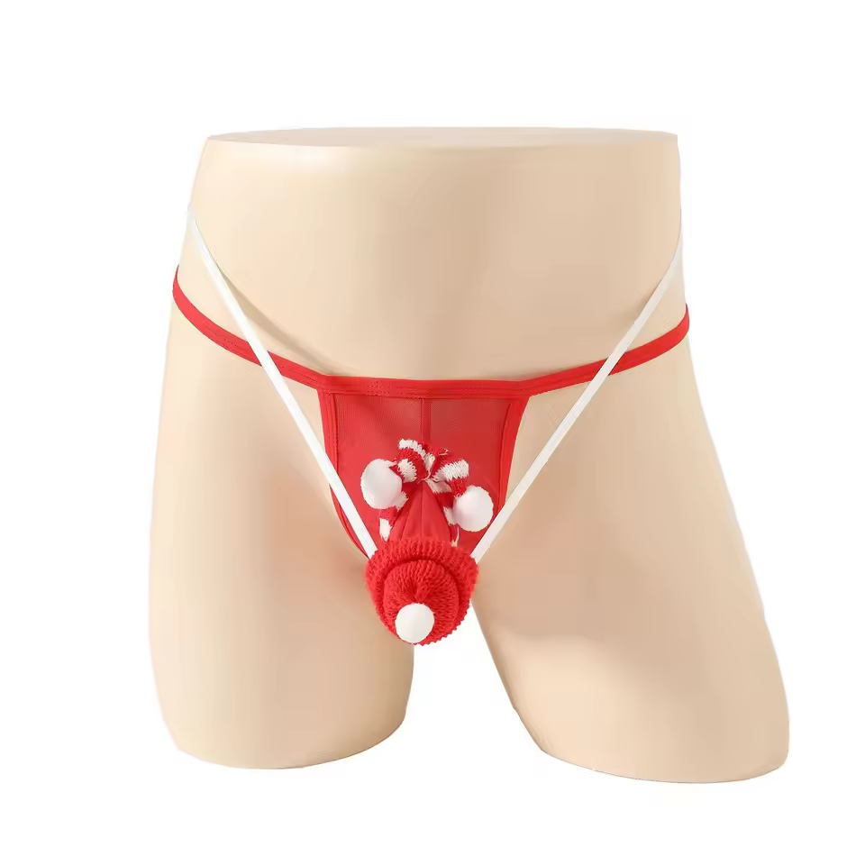 🔥 Funny Men 2025 🔥 Santa’s Secret Thong