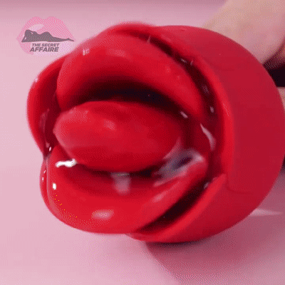 Mr. Lover Kissing Licking Tapping Vibrator LacyNighty