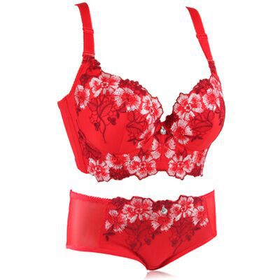 Don't Mess Up Bra Sets Runxing Garment Store